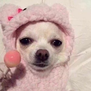 Meet your Posher, Yvette